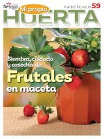 La Huerta en Casa